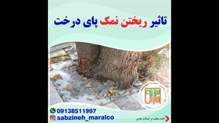 تاثیر ریختن نمک پای درخت_مشاوره واتساپ09138511997_سبزینه مارال یزد