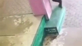 سلام علیکم علیکم سلام