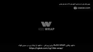 دانلود پلاگین R3DS WRAP برای زیبراش