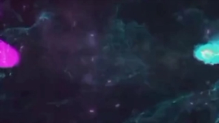 راه اندازی کسب و کار با سایت یا اینستاگرام