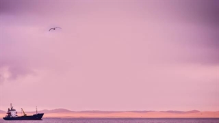 Nathan Evans - Wellerman (Sea Shanty)