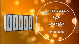 دستگاه خشک کن ماهی و میگو و خرما / اسلایسر 09198002868