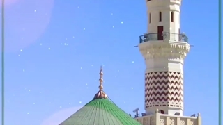 استوری به مناسبت هفته وحدت
