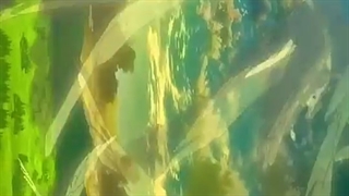 Attack on titan clip