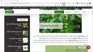 خرید نهال گردو اسرائیلی و قیمت 1400