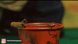 ماجراهای پت ومت