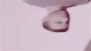 چرا ما مزخرفات شما(فحاش ها) رو تایید نمیکنیم؟