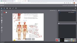 قسمت دوم فصل 5 حس و حرکت ( علوم پایه هشتم)