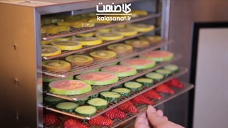 میوه خشک کن ۶ سینی تمام استیل