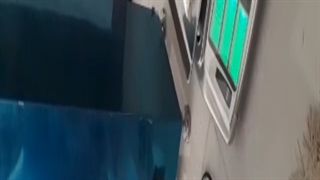 پر کن حبوبات  09307888583