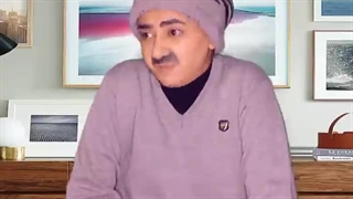 سرنا امینی مشکلات دکترا