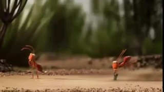 بخش اول درس چهارم م۵_720x1280