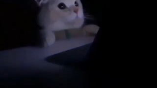 این منم ساعت سه شب