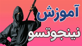 فیلم آموزش فنون نینجوتسو