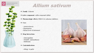 Medicinal Plants In Atherosclerosis and Occlusive Diseases