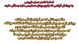 عسل ۵۰ تا طعم داره؟