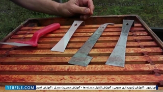 آموزش زنبورداری حرفه ای - آموزش زنبورداری - روش یافتن ملکه