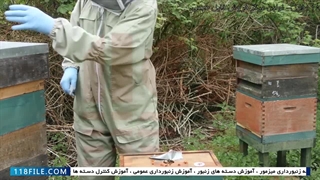 آموزش زنبورداری حرفه ای-آموزش پرورش ملکه زنبور-احداث زنبورداری جدید
