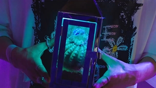 موزیک ویدیو دبیو a.c.e (اِیس) به اسم cactus (تاریخ دبیو :23می سال 2017)