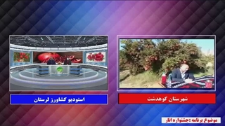 جشنواره انار منطقه سیاب کوهدشت