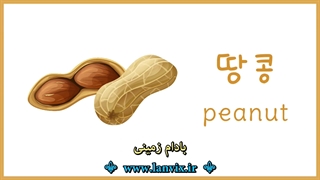 آجیل در کره ای