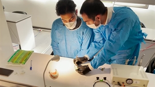 دوره لمینیت master smile course