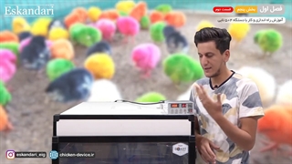 دستگاه جوجه کشی 504 تایی (فصل اول - بخش پنجم- قسمت دوم)