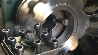 شیر دروازه ای