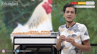 دستگاه جوجه کشی 672 تایی (فصل اول - بخش ششم - قسمت دوم)