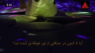 استفاده از ویدیو مپینگ در گالری های هنری و نمایشگاه ها ( نمایشگاه هنر دیجیتال- توکیو)