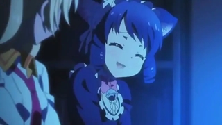 انواع گربه ها