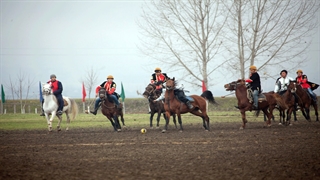 فیلم آموزش چوگان به صورت حرفه ای