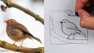 ✅ آموزش چگونه بتوانیم با شکل‌های ساده هرچیزی را طراحی کنیم