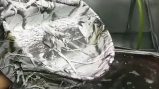 هیدروگرافیک/پترن هیدروگرافیک