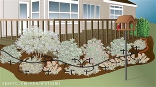 آبیاری قطره ای