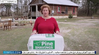 آموزش پرورش مرغ محلی-آموزش تخصصی پرورش طیور-نحوه مراقبت از جوجه ها