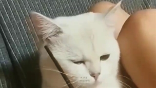 حالم بده ناراحتم استرس دارم