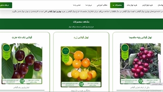 مشخصات انواع ازقام نهال گیلاس