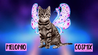 آهنگ وینکس کلاب تبدیل کاسمیکس به سبک گربه ای