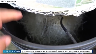 اموزش اسان کشت صیفی جات هیدروپونیک-پرورش خیار با استفاده از انرژی خورشیدی