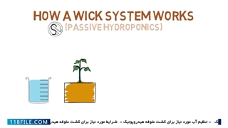 آموزش ترفند های کشت علوفه هیدروپونیک-پرورش خیار با انرژی خورشیدی