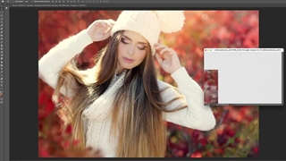 برگ های لایه باز