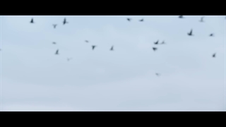 BTS - Young Forever (Epilogue)