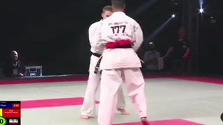 کمیته کیوکوشین.