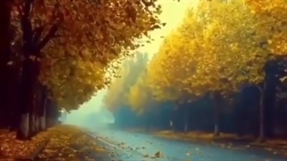 دکلمه شعر حادثه با صدای محمد خوش بین