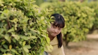 قسمت چهاردهم سریال چینی رودخانه ای که از آن میگذرد A River runs through it 2021 با زیرنویس فارسی چسبیده