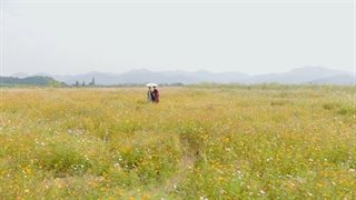 سریال چینی تولدی دوباره برای تو 2021 قسمت 40 قسمت آخر با زیرنویس فارسی چسبیده