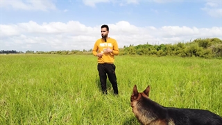 چیکار کنم سگم ترسو نشه