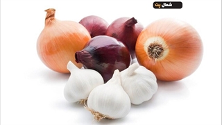 17 غذای کشنده برای سگ ها