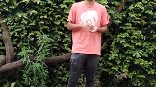 حسادت در سگ ها